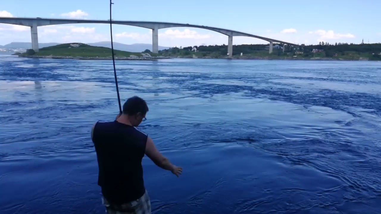 Fishing saltstraumen dream place 2