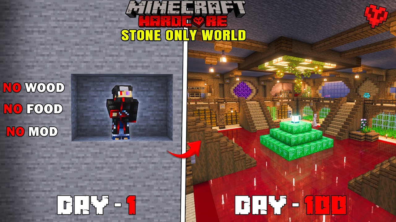 Minecraft 100 Days in a STONE ONLY World... Can I Win?