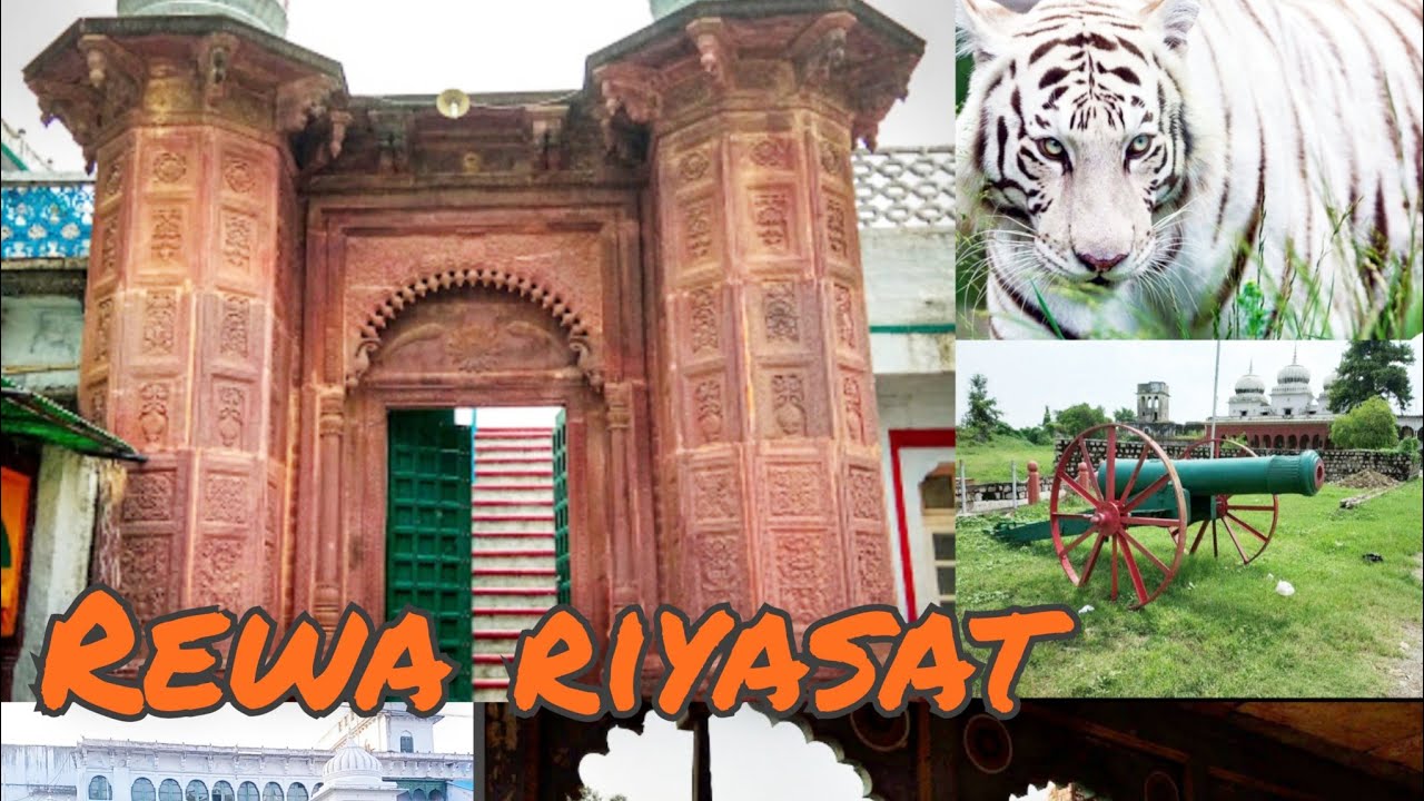 Rewa fort / रीवा राजघराने /rewa kila / Rewa Museum /प्रतापी महाराजा गुलाब सिंह/ Rewa ka kila