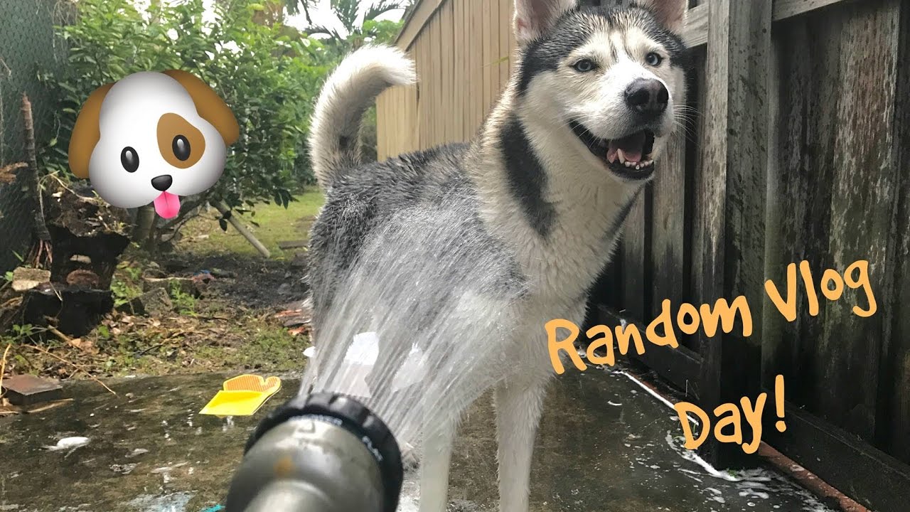 Park Day, Shower Time & More! - Random Vlog Day! #2