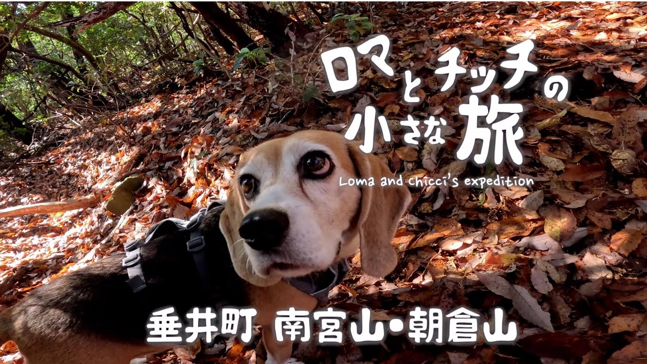 【南宮山・朝倉山】東海百山の展望台👀に周回コースで挑戦！ご褒美下山パンはPSゴールドで絶賛のアノ名店へ❗️