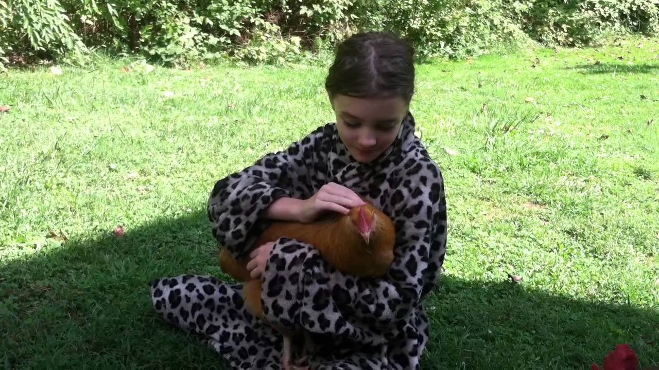 Chicken Cuddles