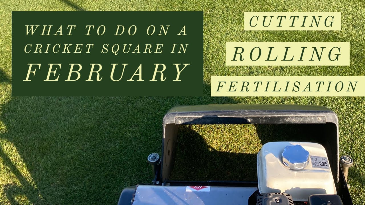 What to do on a Cricket Square in February 