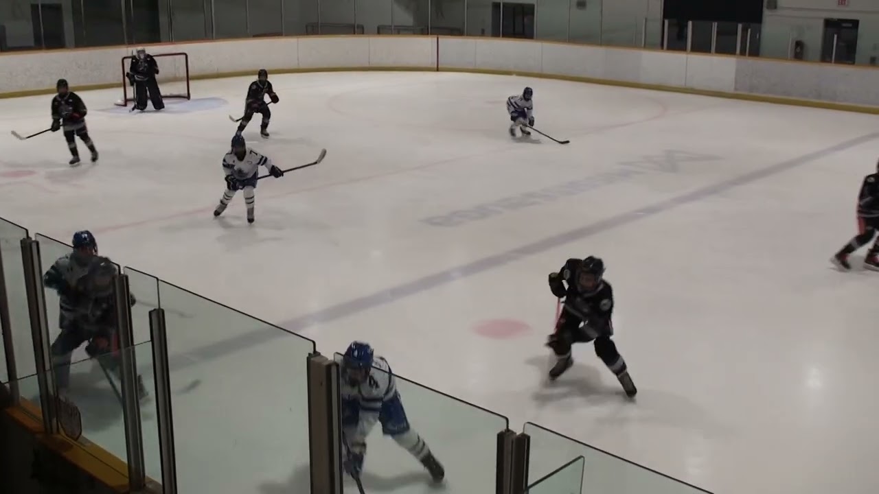 Tigers v Mississauga Terriers   2026 02 17 00446