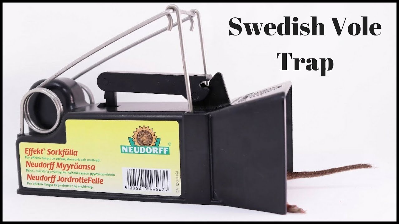 Swedish Vole Trap - A Gift From A Youtube Viewer - Mousetrap Monday