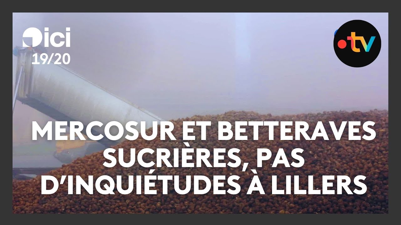 Mercosur et betteraves sucrières : 100ᵉ campagne pour la sucrerie de Lilliers