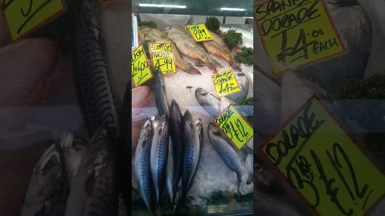 Super fish Raw mackerel