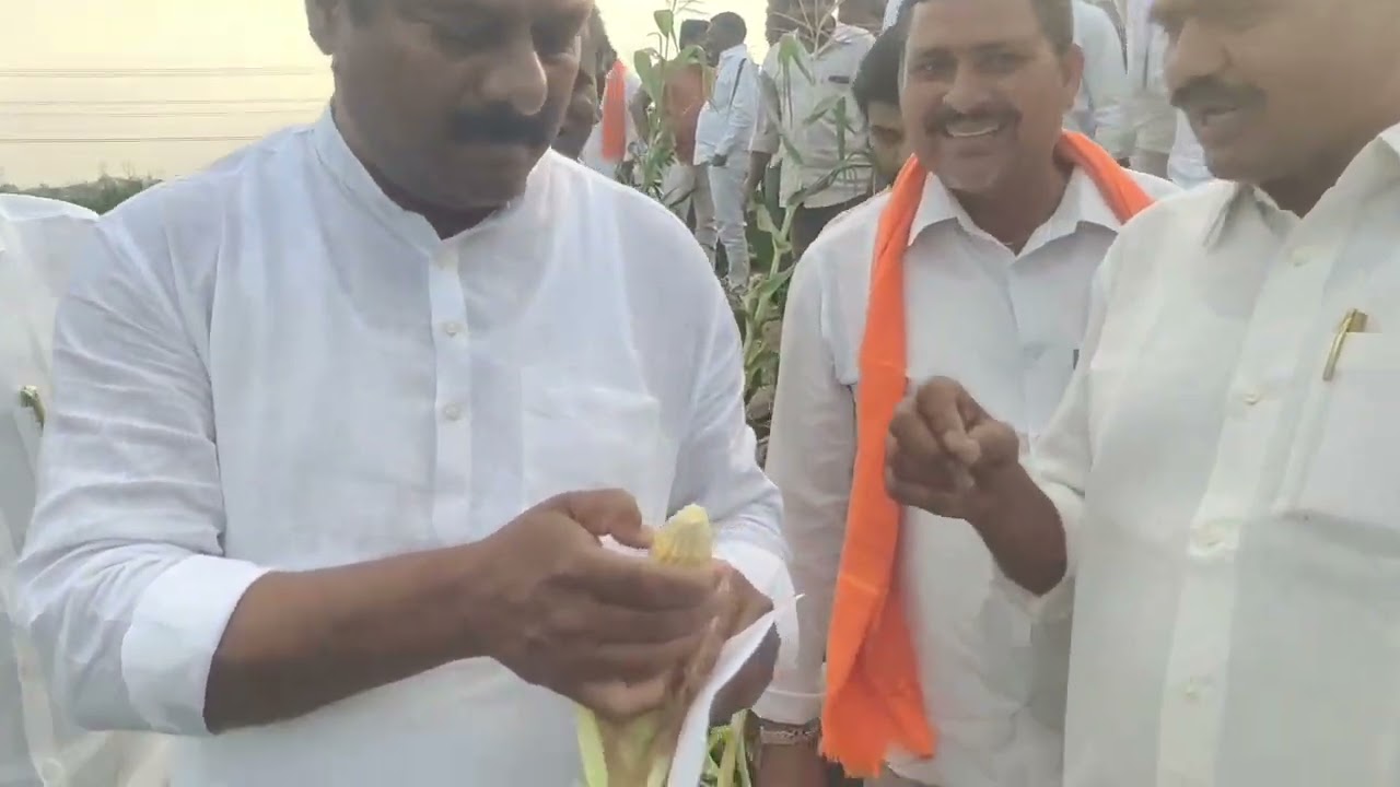 SOAN : పంట నష్టపోయిన బాధిత రైతులను ఆదుకుంటాం : ఎమ్మెల్యే ఏలేటి మహేశ్వర్ రెడ్డి 
