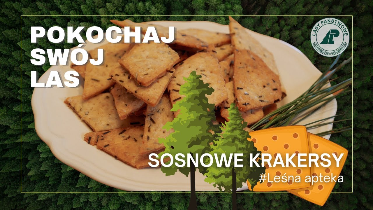 Pokochaj Swój Las - #29 Leśna Apteka. Jak zrobić krakersy z igieł sosny?