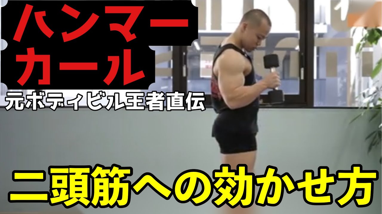【ハンマーカール】上腕二頭筋の長頭に効かせるには片方ずつが効果的！重量、回数なども解説