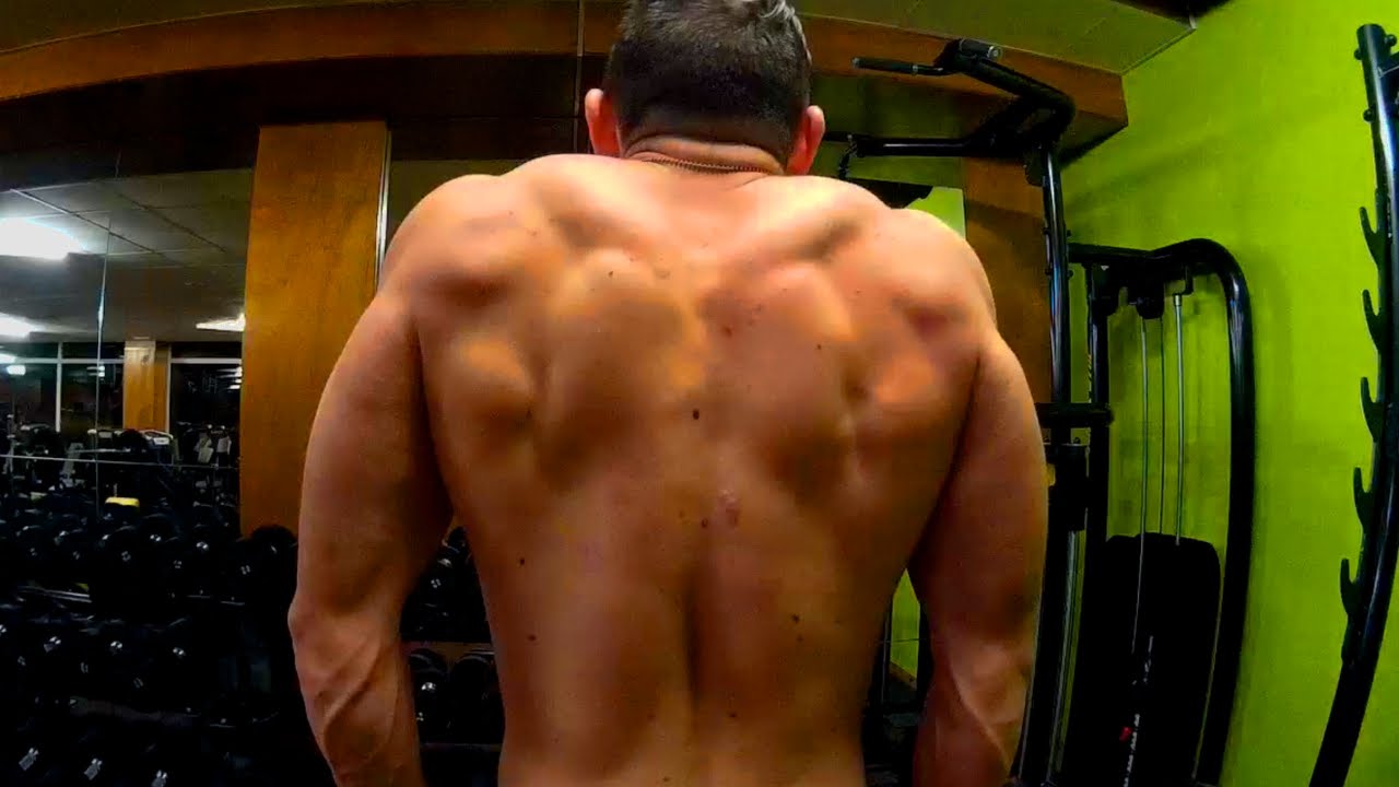 Tutorial: Encogimiento de Hombros  | TRAPECIO | MUSCULO ALPHA | NTRENA