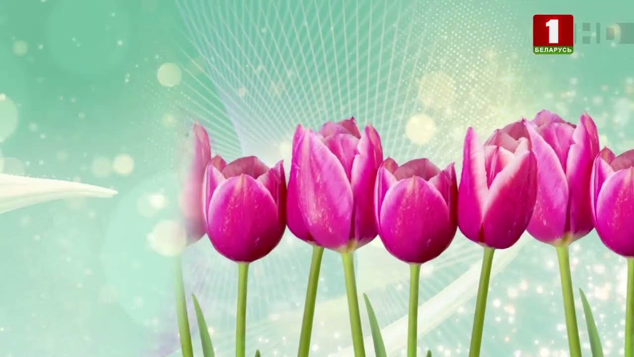 Анимация логотипа и праздничная заставка (Беларусь-1 HD, 08.03.2026)
