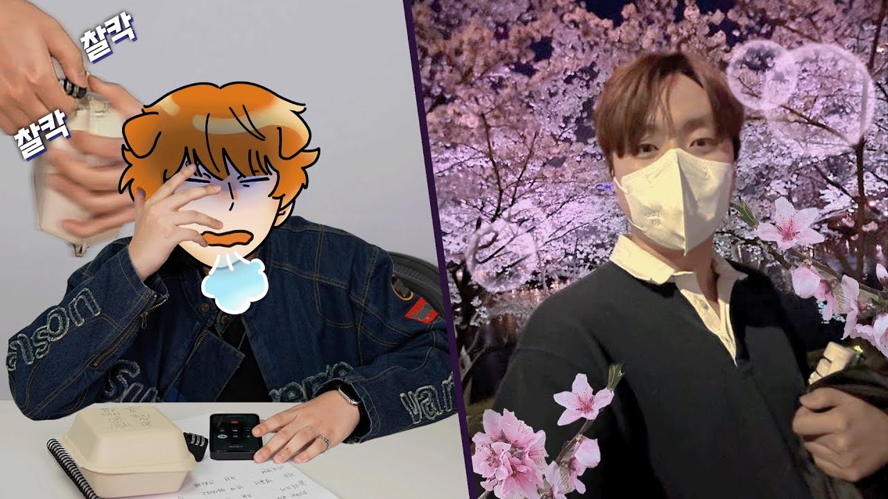 덕개 혼자 촬영 시키고 벚꽃보러 가기🌸