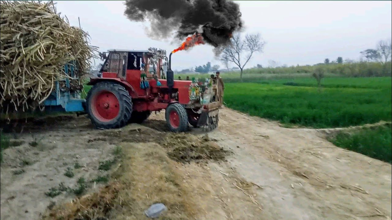Most Powerful Belarus 510 Tractor Stunts 🔥 || Tractor Pulling Power With Trolley || tractor video