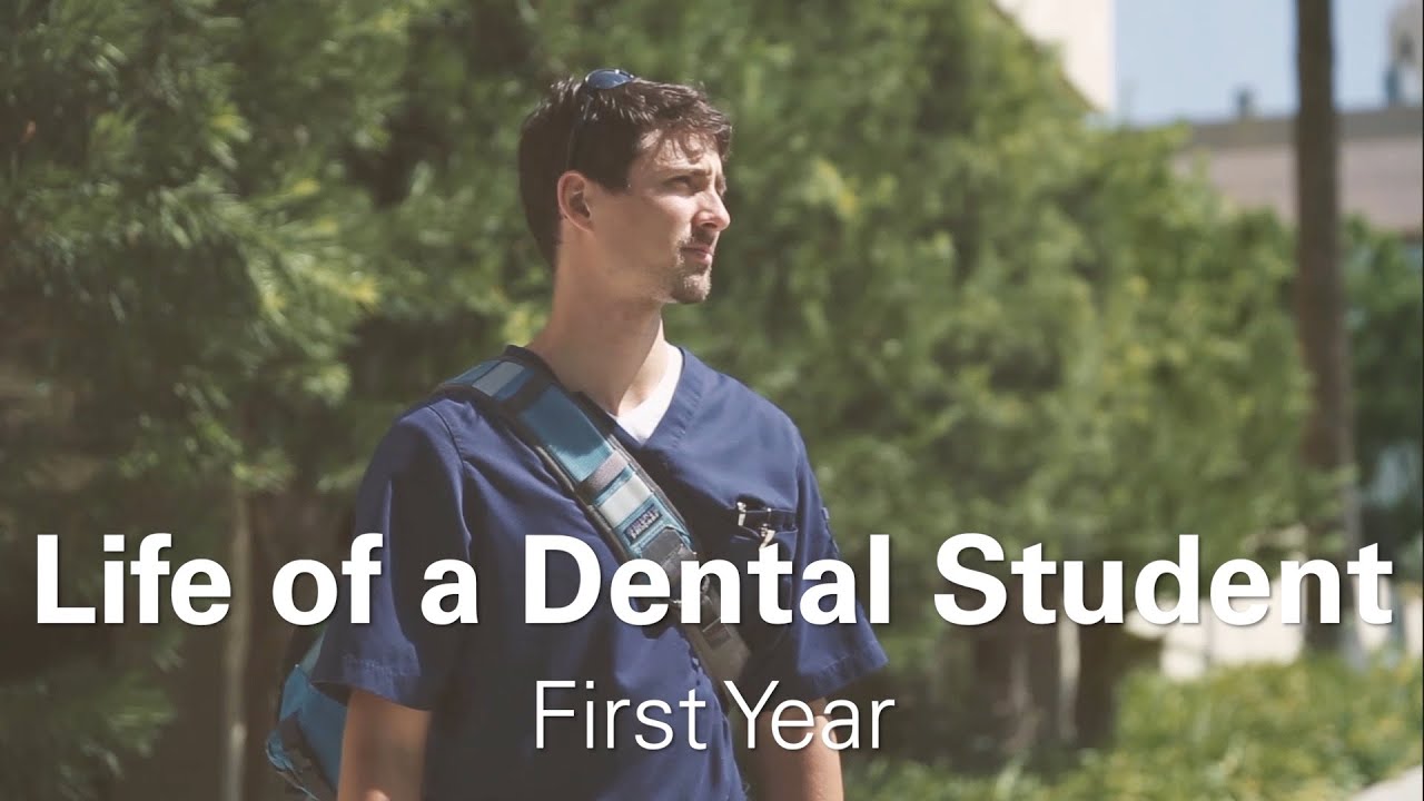 Life of a First Year Dental Student - Morgan & Elaine