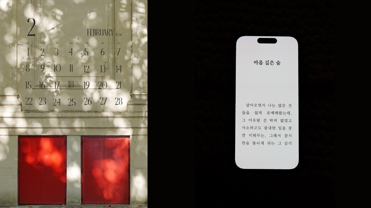 2월은 내가 태어난 달 이자..[강아지가 너무 귀여운 브이로그]