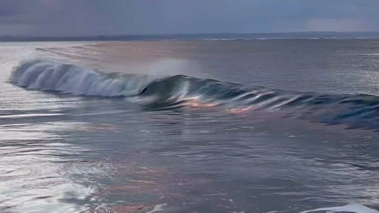 SCORING FUN WAVES WITH MY DAD ON DA WA COAST! PNW SURFING