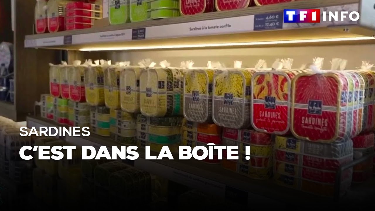 Sardines : c'est dans la boîte !