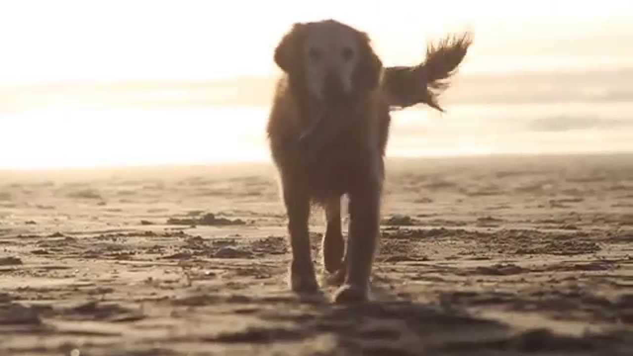 Katie's First Beach Day