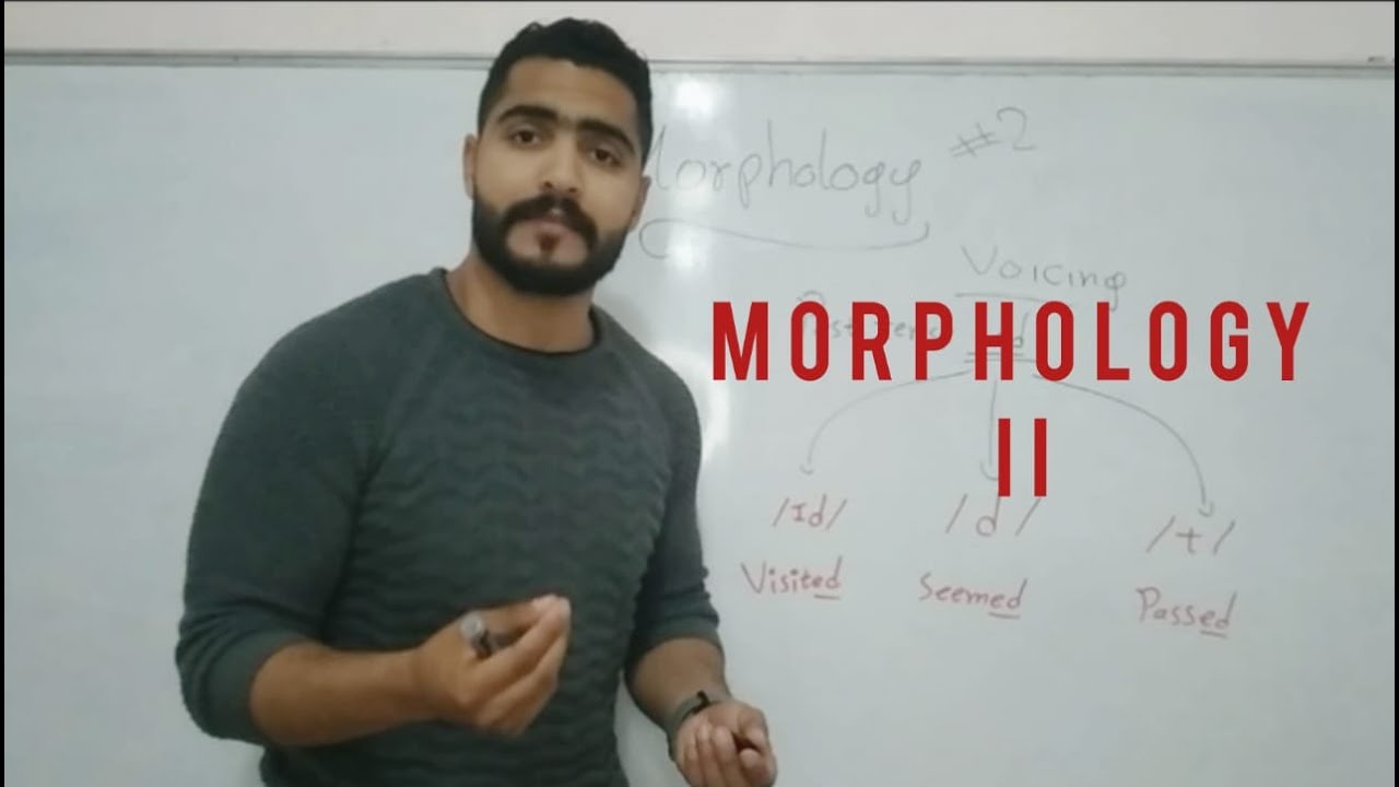 Morphology part 2/// الصرف بالانجليزية