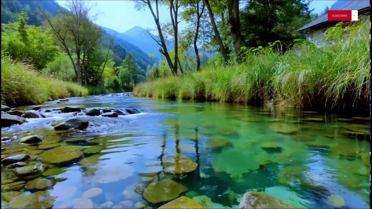 Daytime Sleep Fast Music — Sunny Forest River & Soft Piano for Total Relaxation | 10 Hours