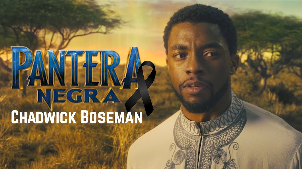 PANTERA NEGRA (Chadwick Boseman) - TRIBUTE/HOMENAGEM (PT-BR)