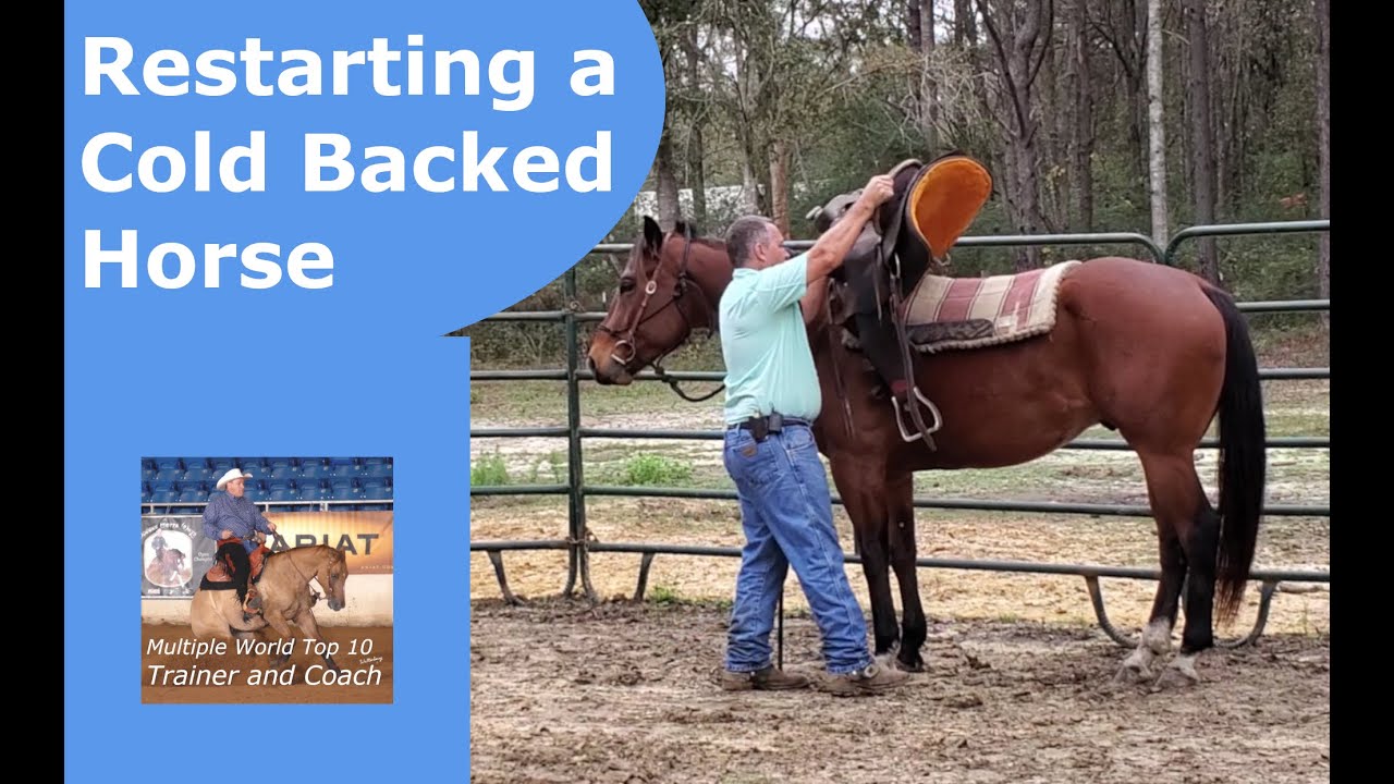 Helping a cold backed horse to gain confidence