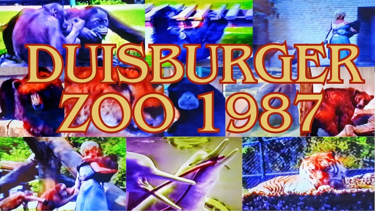 Der Duisburger Zoo im Jahre 1987