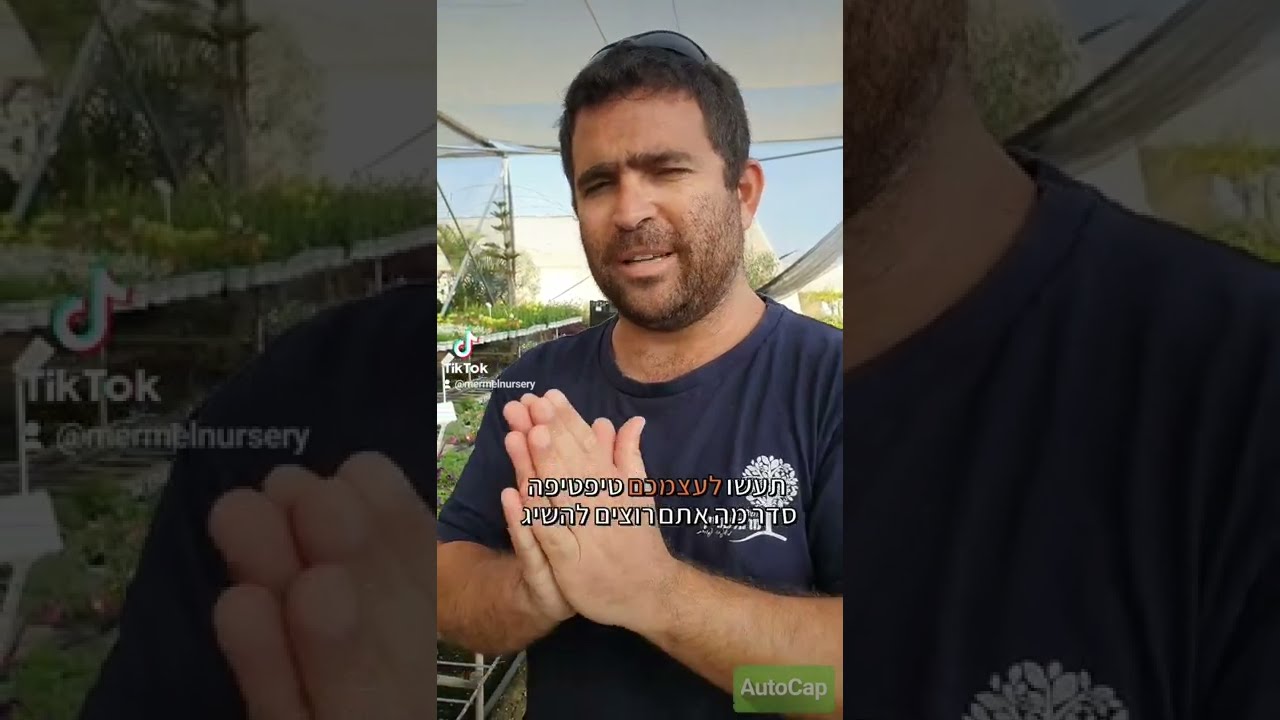 איך לבחור צמחים במשתלה? איך לשתול אותם אצלכם בבית? כל הטיפים כאן בסרטון!