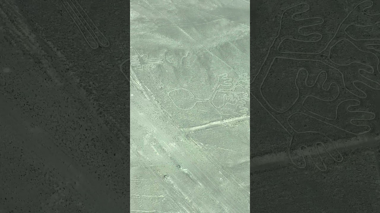 Aqui podemos avistar a árvore da vida, linhas de Nasca 