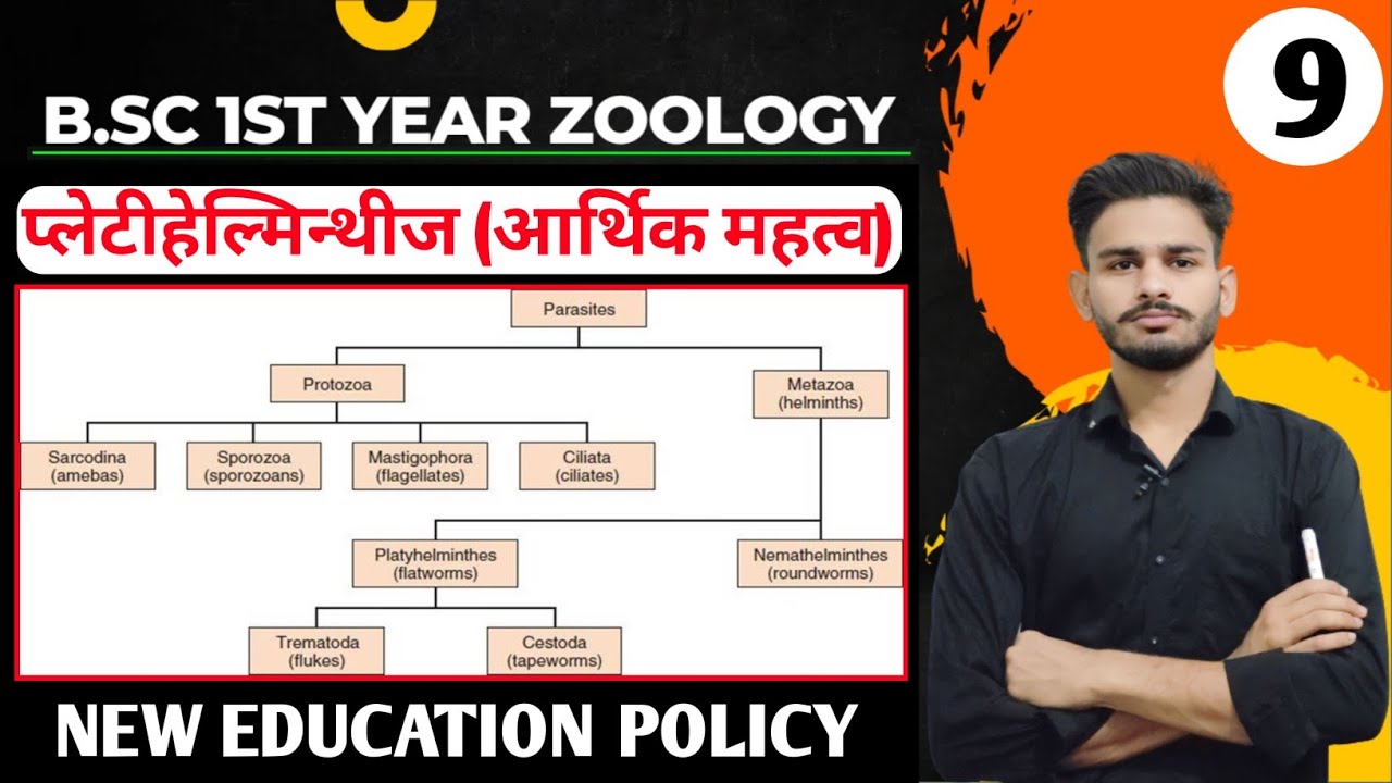 platyhelminthes bsc 1st year in hindi | bsc 1st year zoology chapter 1 | zoology bsc 1st year #bsc
