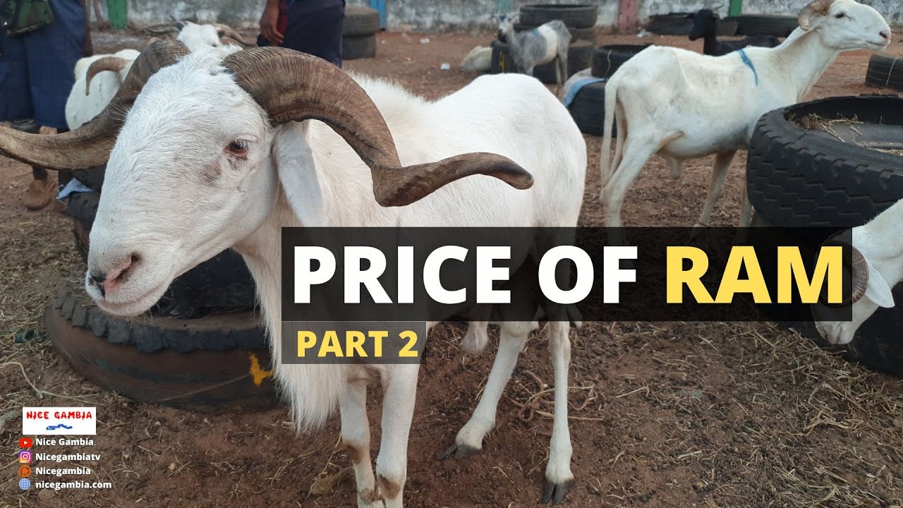 Price of RAM in Africa The Gambia 2023 EID Part 2