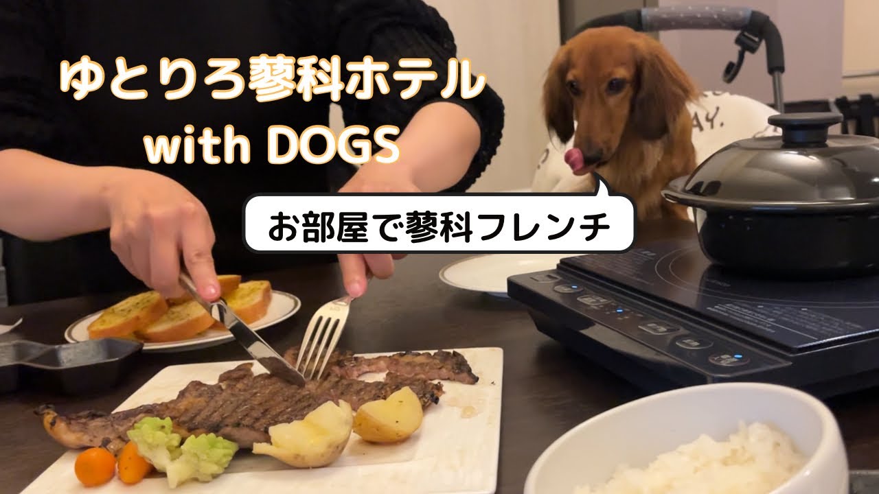 【犬連れ旅行】ゆとりろ蓼科ホテルwith DOGS 202505