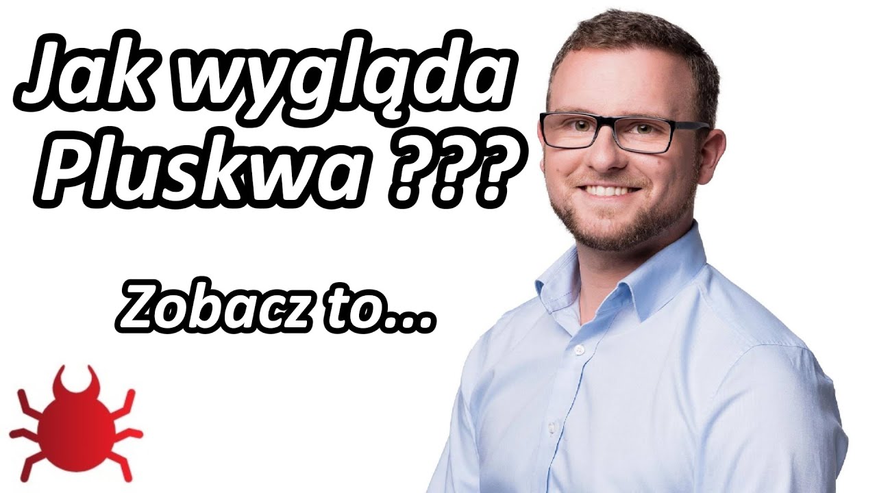 Jak wygląda Pluskwa domowa? Gdzie siedzą? Czy wyrzucić wersalkę?