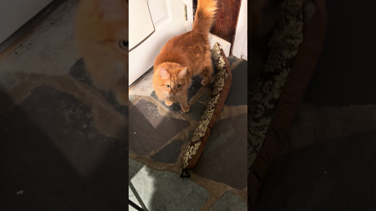 Под моими ногами