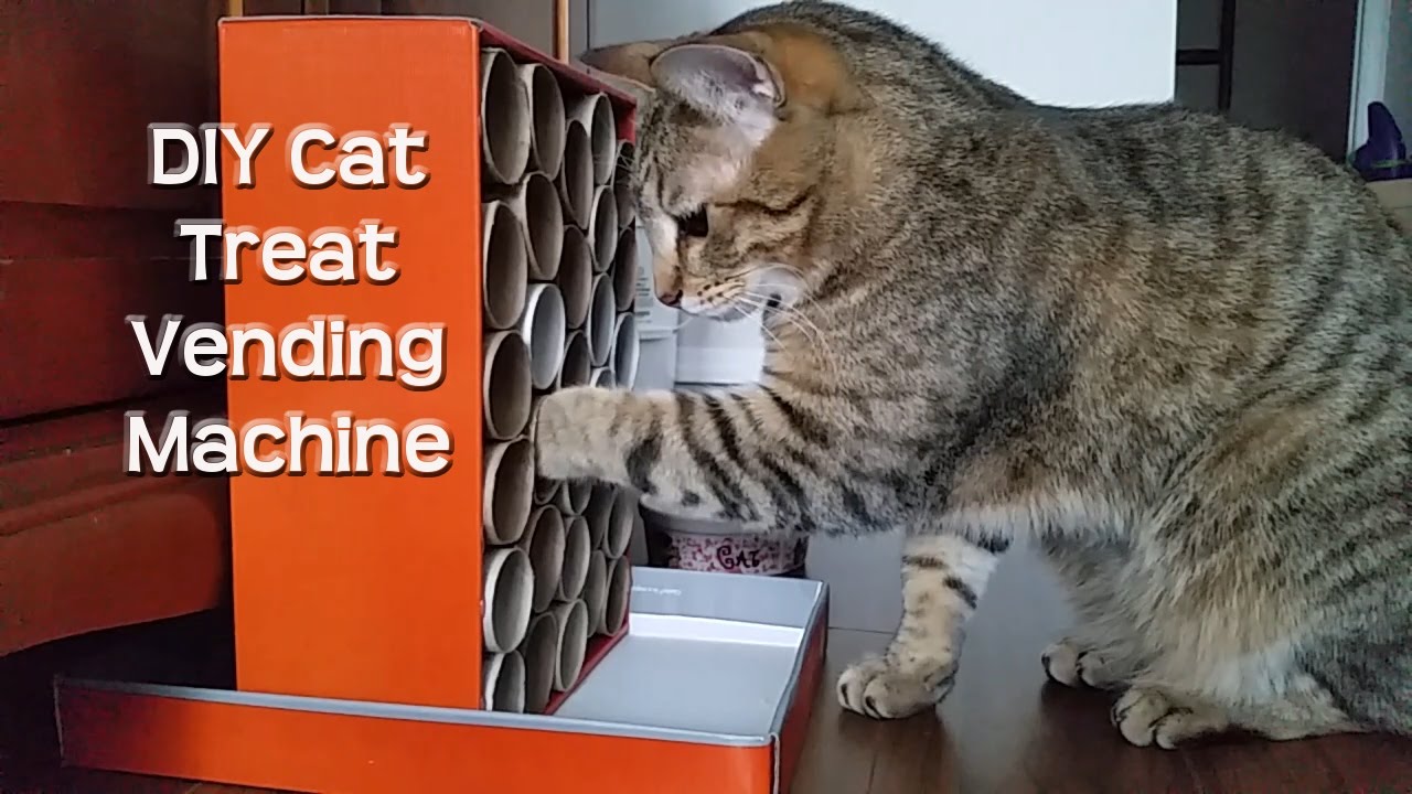 DIY Cat Treat Vending Machine May 2017