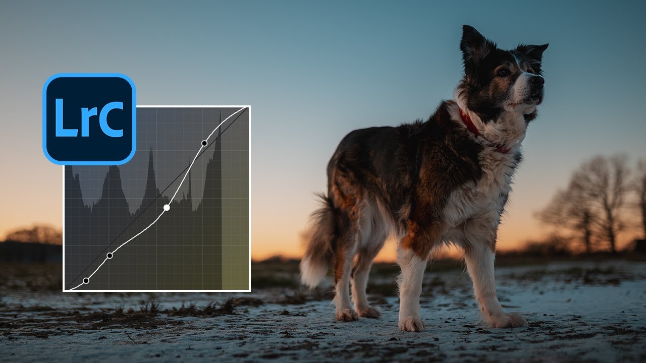 Diese wichtige Lightroom Funktion versteht (fast) niemand!