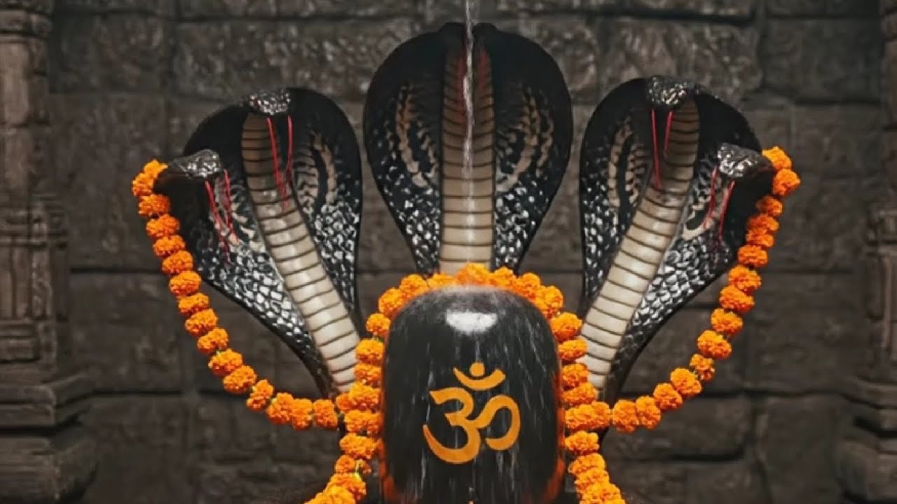 Movies clips 🎥🎥😁🍿❤️🌹