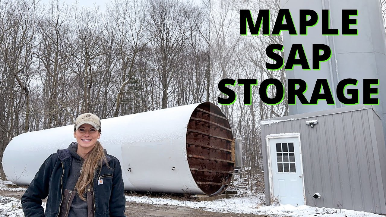Maple Sap Storage: Why We Use Silos