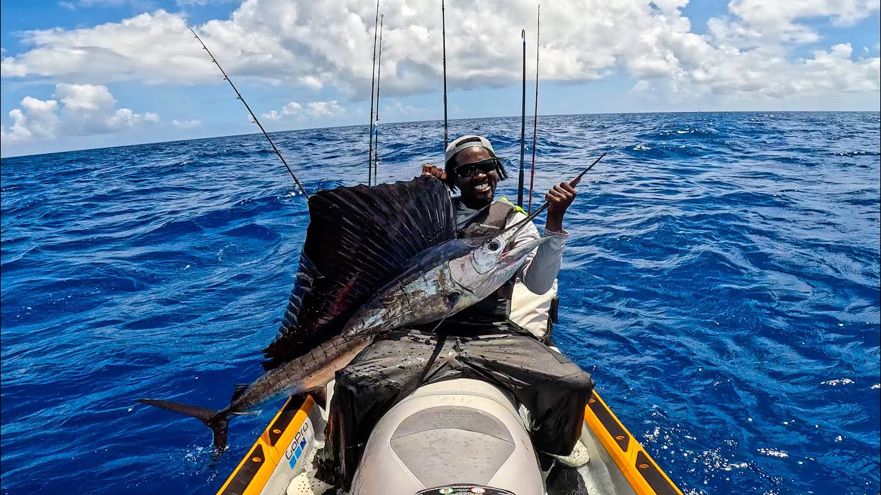 Solo At Sea Surrounded By Big Fish 