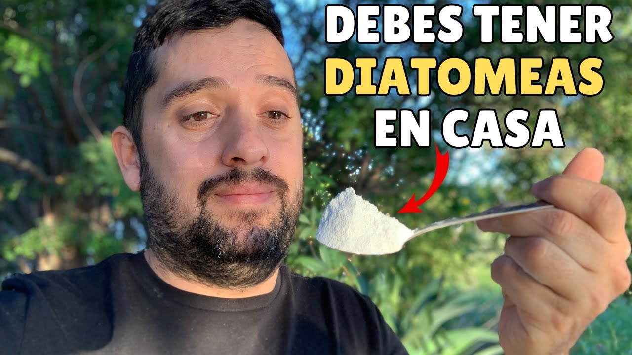 8 Asombrosos Usos De La Tierra DIATOMEAS