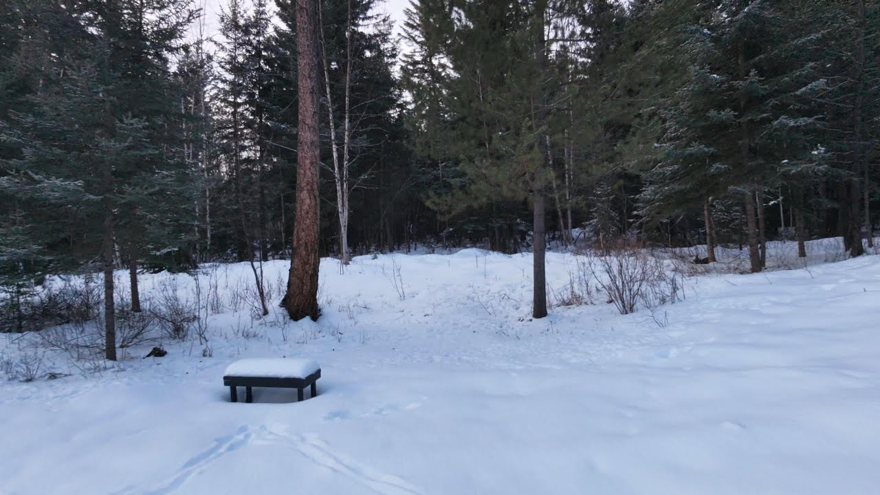 Flight Vlog #32 - Another day, another fly around the forest (@ the cabin) - DJI NEO2