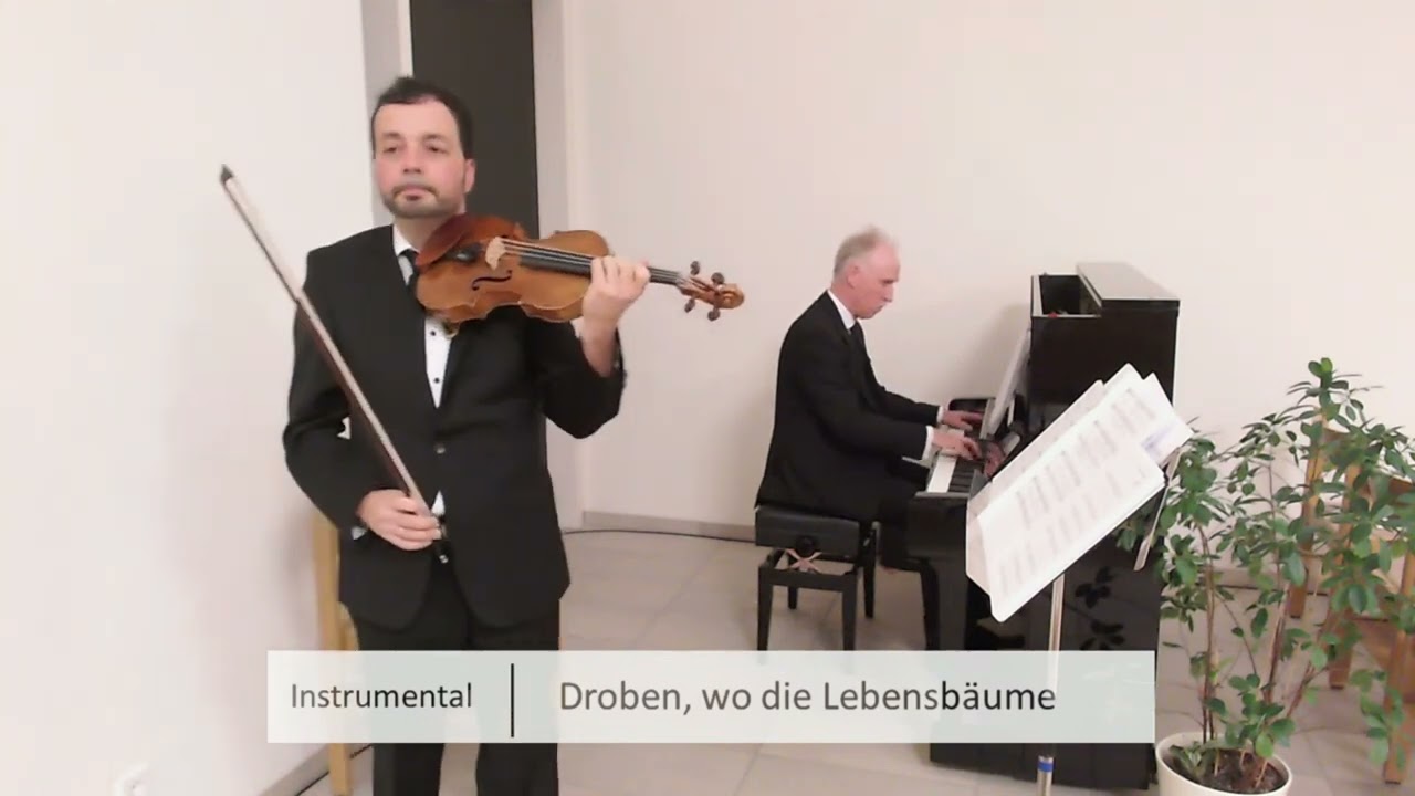 Droben wo die Lebensbäume