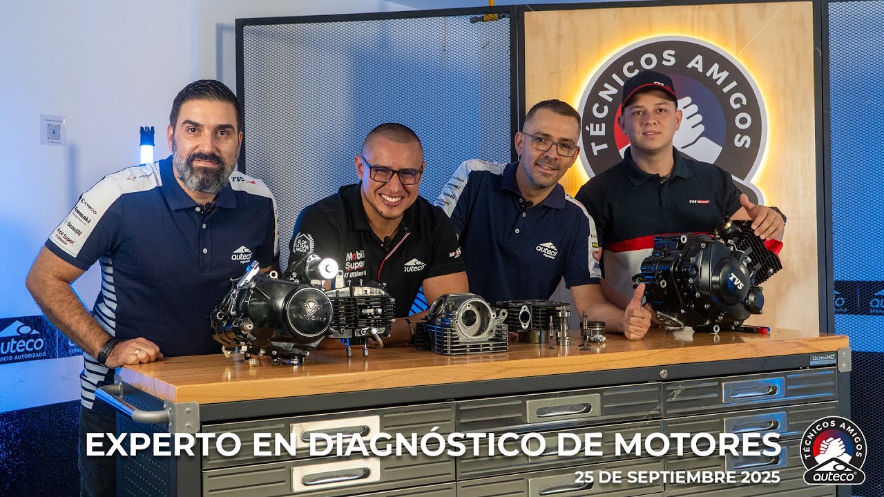Experto en diagn&oacute;stico de motores