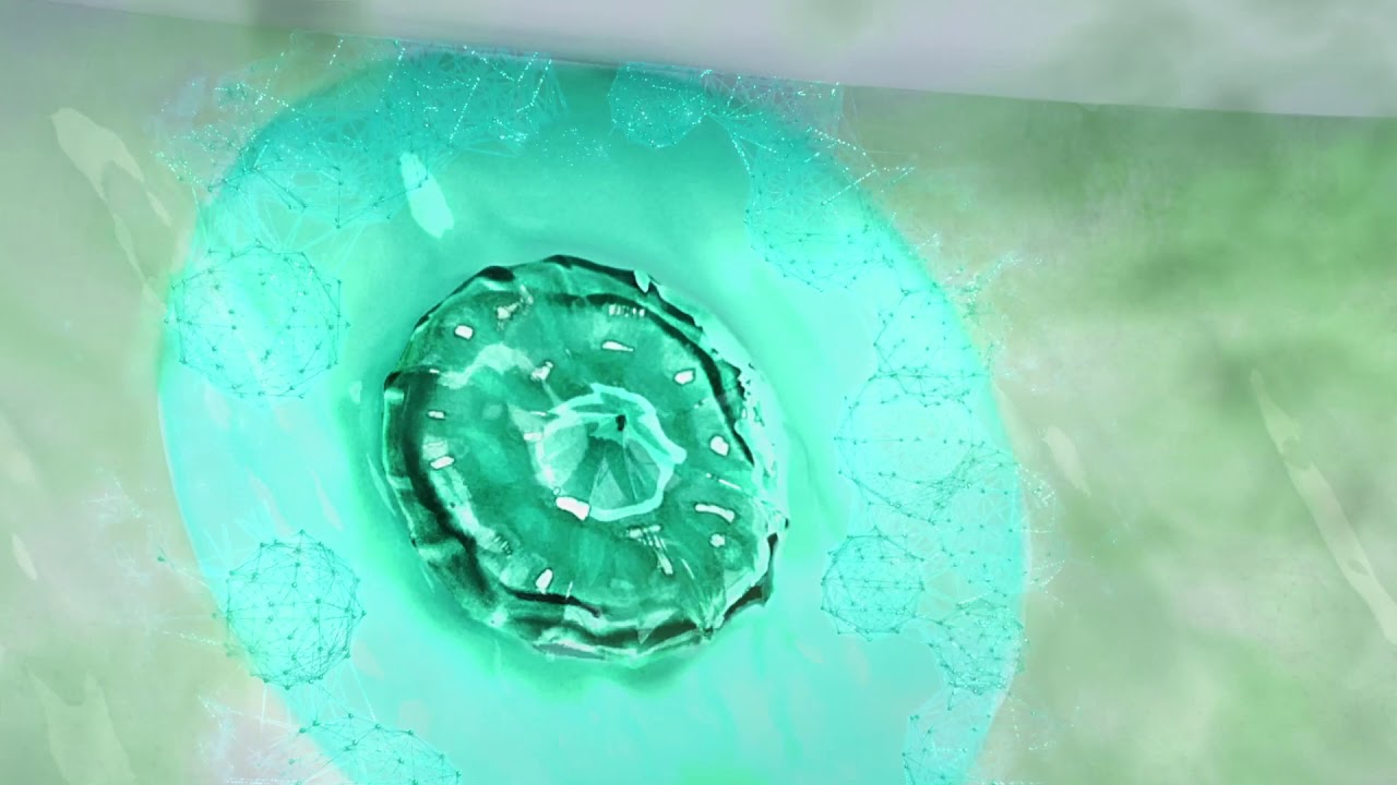 Keep your toilet fresh & clean with Duck® Fresh Discs