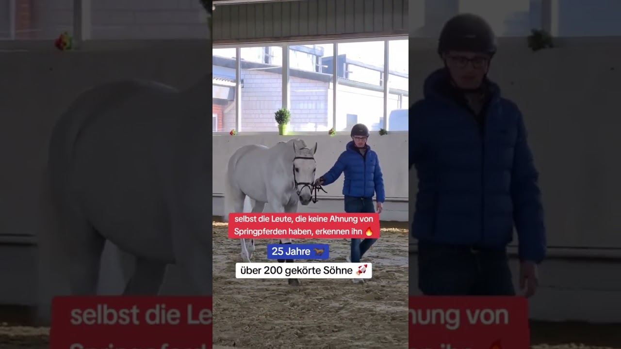 Na, wer erkennt diese lebende Legende? #deckhengst #springpferd