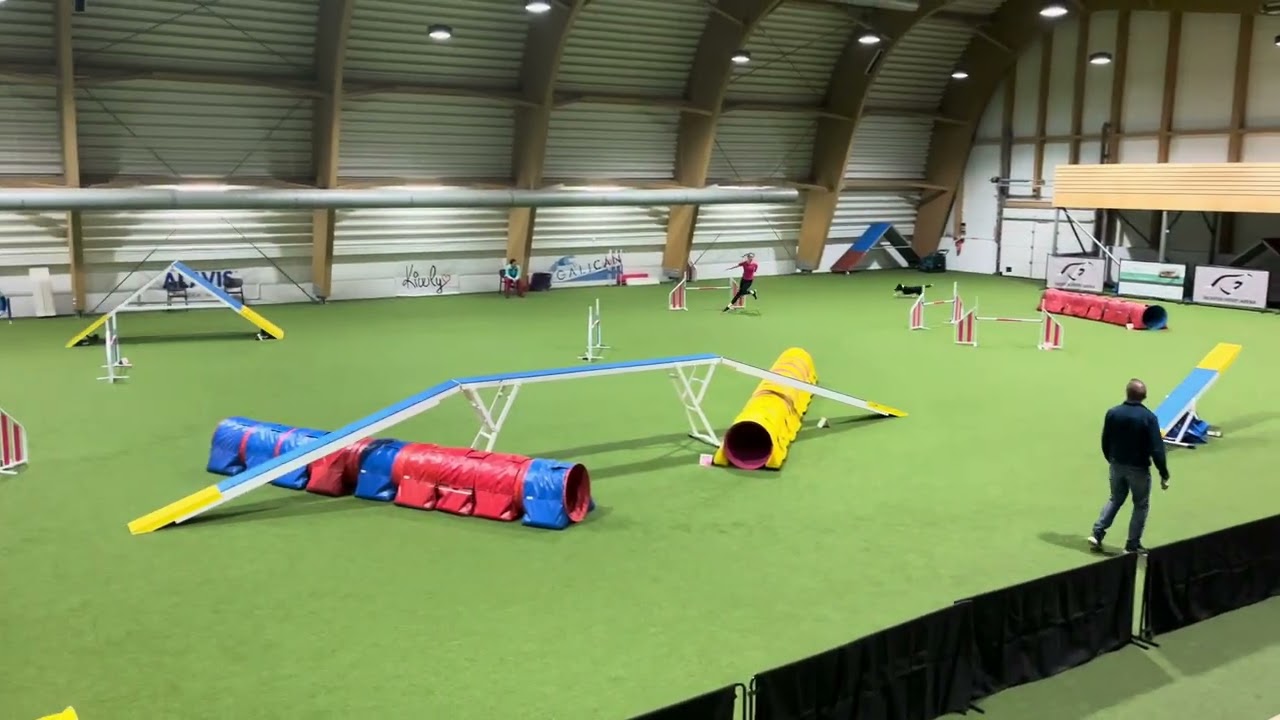 Autumn competitions 2025 - Dobby & Veronika