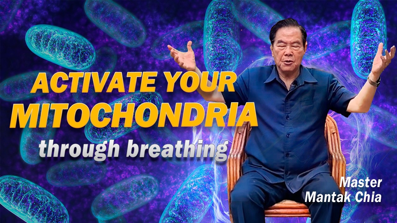 5-Min Guided Taoist Embryonic Breathing Meditation | Master Mantak Chia☯️