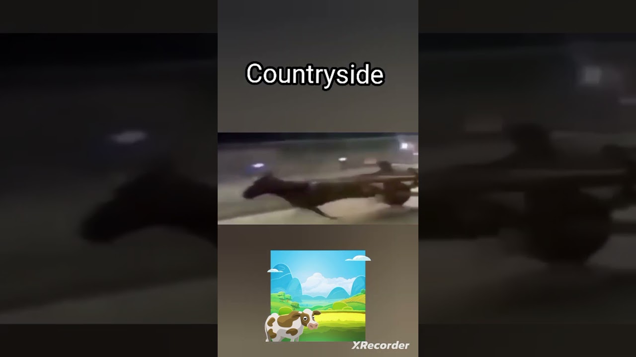 Listening to HCR2 OST be like... MEME 🎵