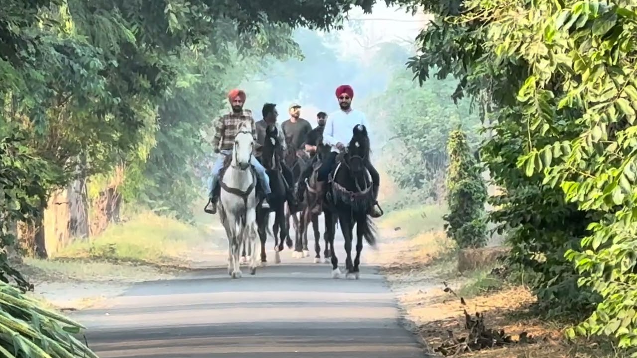 long ride with marwari horses at long riders ranch patiala